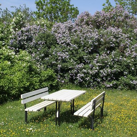Klockaregarden I Hoegsrum Hogsrum エクステリア 写真