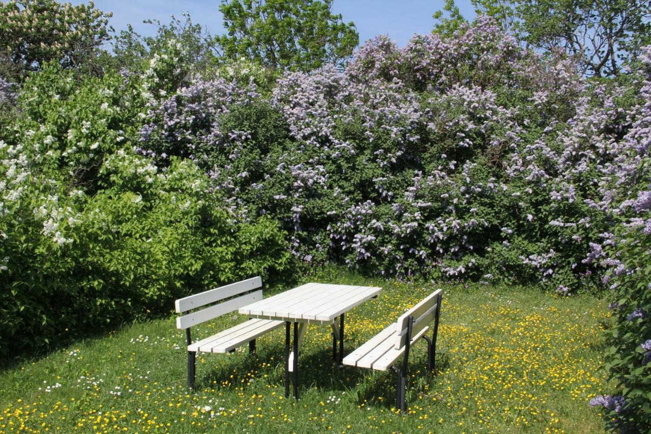 Klockaregarden I Hoegsrum Hogsrum エクステリア 写真